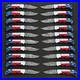 20 Pcs, Texas Flag Handmade Damascus Steel Folding Knives, Pocket knives Sheaths
