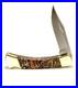 2024 Buck 110 Custom Knife With Polished Leopard Skin Jasper Stone Handles