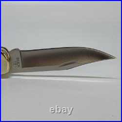 2024 Buck 110 Custom Knife With Polished Leopard Skin Jasper Stone Handles