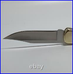 2024 Buck 110 Custom Knife With Polished Leopard Skin Jasper Stone Handles