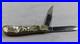 Bear & Bull Hand Made Mother Of Pearl And Abalone 2 Blade Pocket Knife Rare