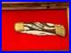 Buck 110 Folding Knife Customized by Michael Prater Painted Pony Brown/Pearl