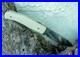 Citadel'Husky' 9 OA Raw Rayskin Scales Handmade Folding Knife RARE Superb