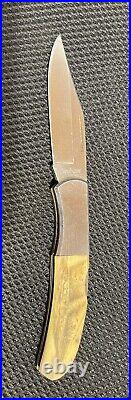 Collectible Kershaw Knife With Original Scrimshaw The Race By Sam McDowell