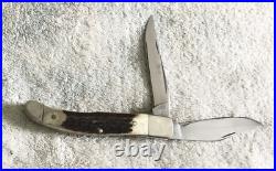 Custom B W Smith & Sons Stag 2 Blade Folding Hunter Pattern Knife
