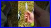Custom Buck 110 Buck Buck110 Custom Magnacut
