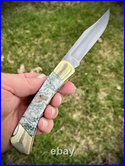 Custom Buck 110 Knife with Tree Agate Scales