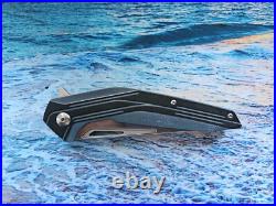 Hand Made Limited Edition No. 302 of 500 Brous Blades Hardwire Folding Knife