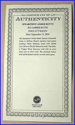 William Henry Handcrafted Folding Knife, B12 Amber Butte, Mokume, Damascus